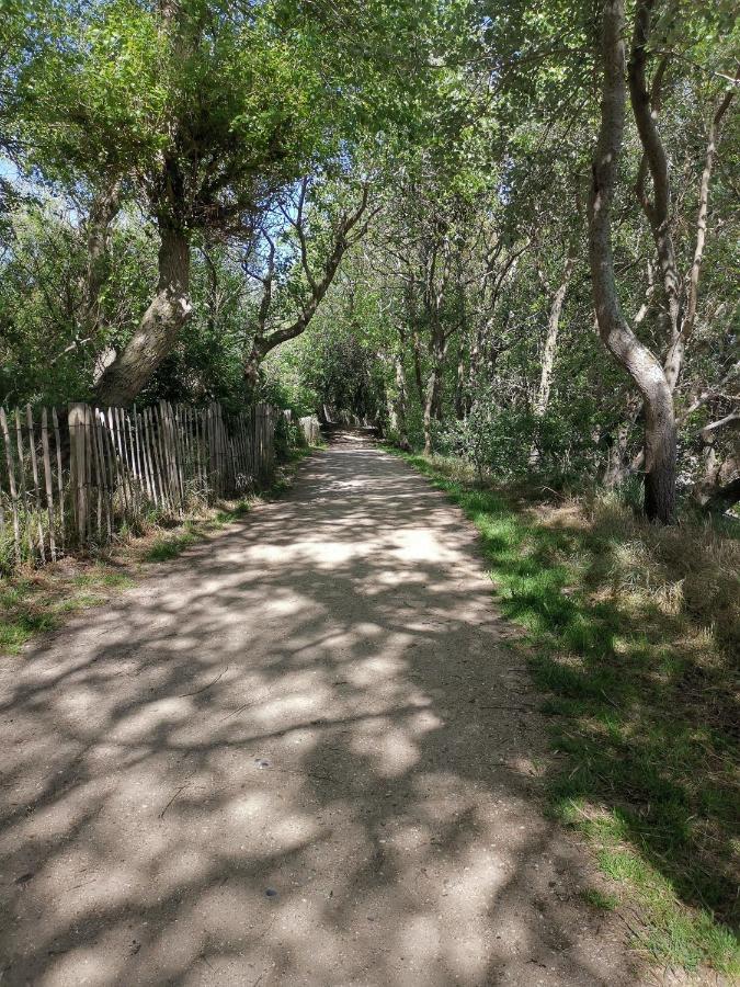 Griad In De Duinen De Haan Kültér fotó